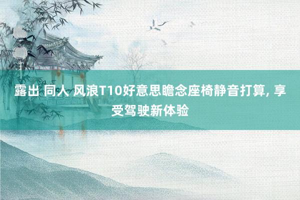 露出 同人 风浪T10好意思瞻念座椅静音打算， 享受驾驶新体验